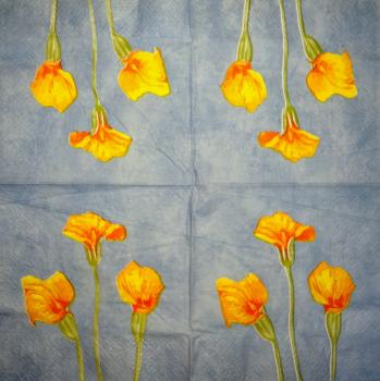 035 Calla - 3-ply